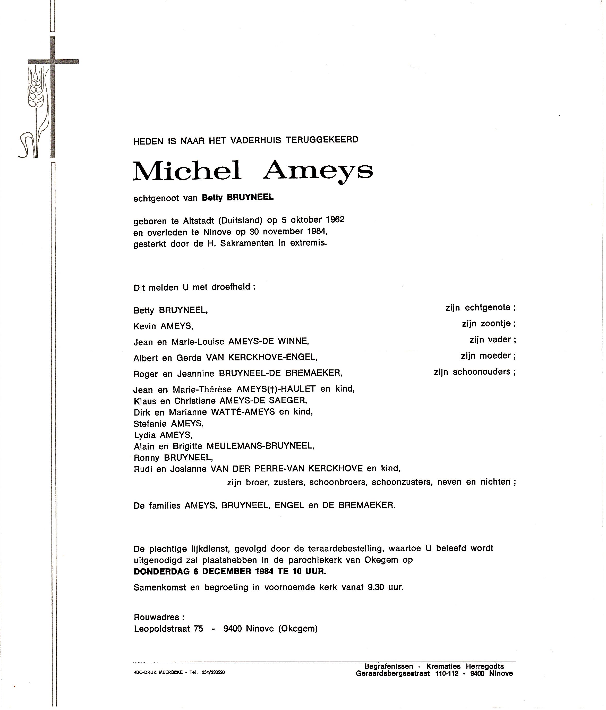 Ameys Michel