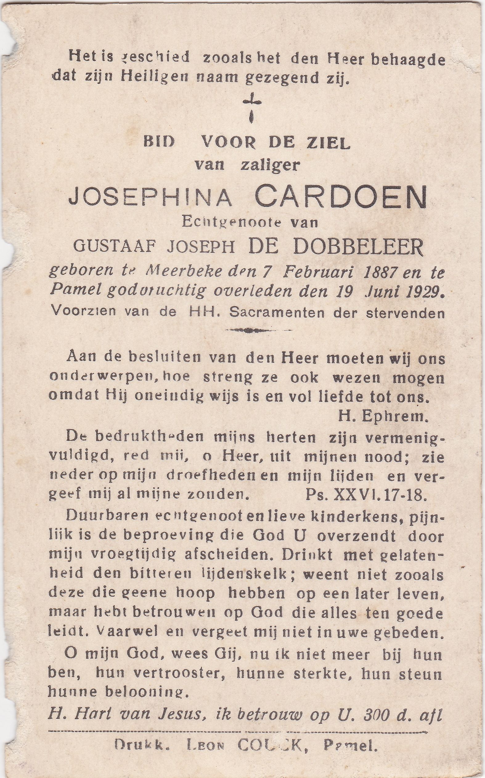 Cardoen Josephina