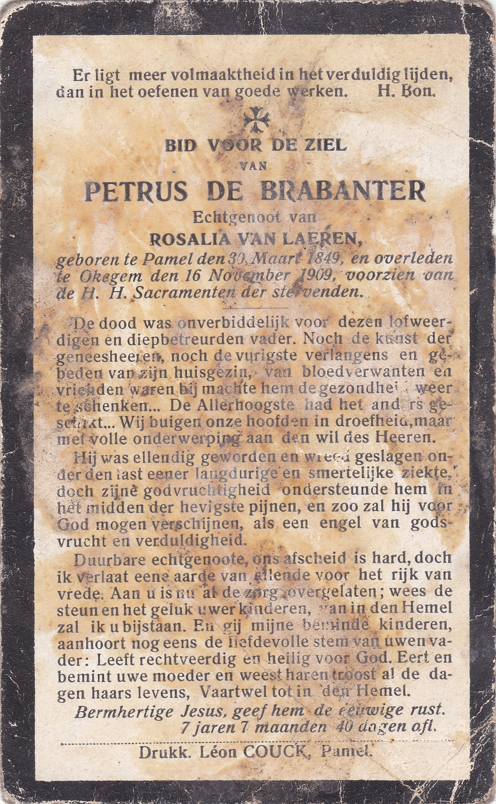 De Brabanter Petrus   