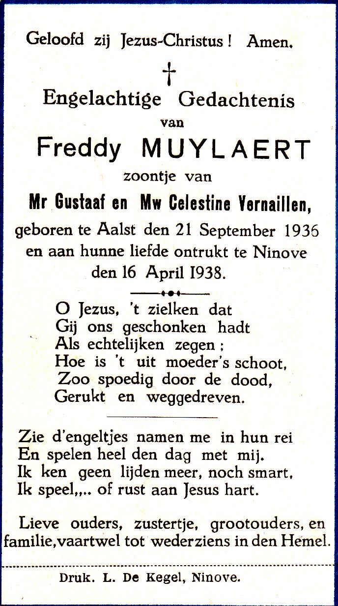 Muylaert Freddy