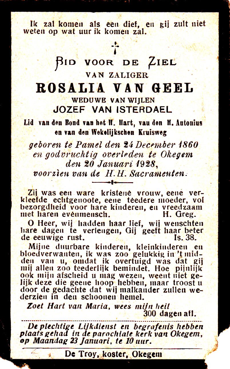 Van Geel Rosalia