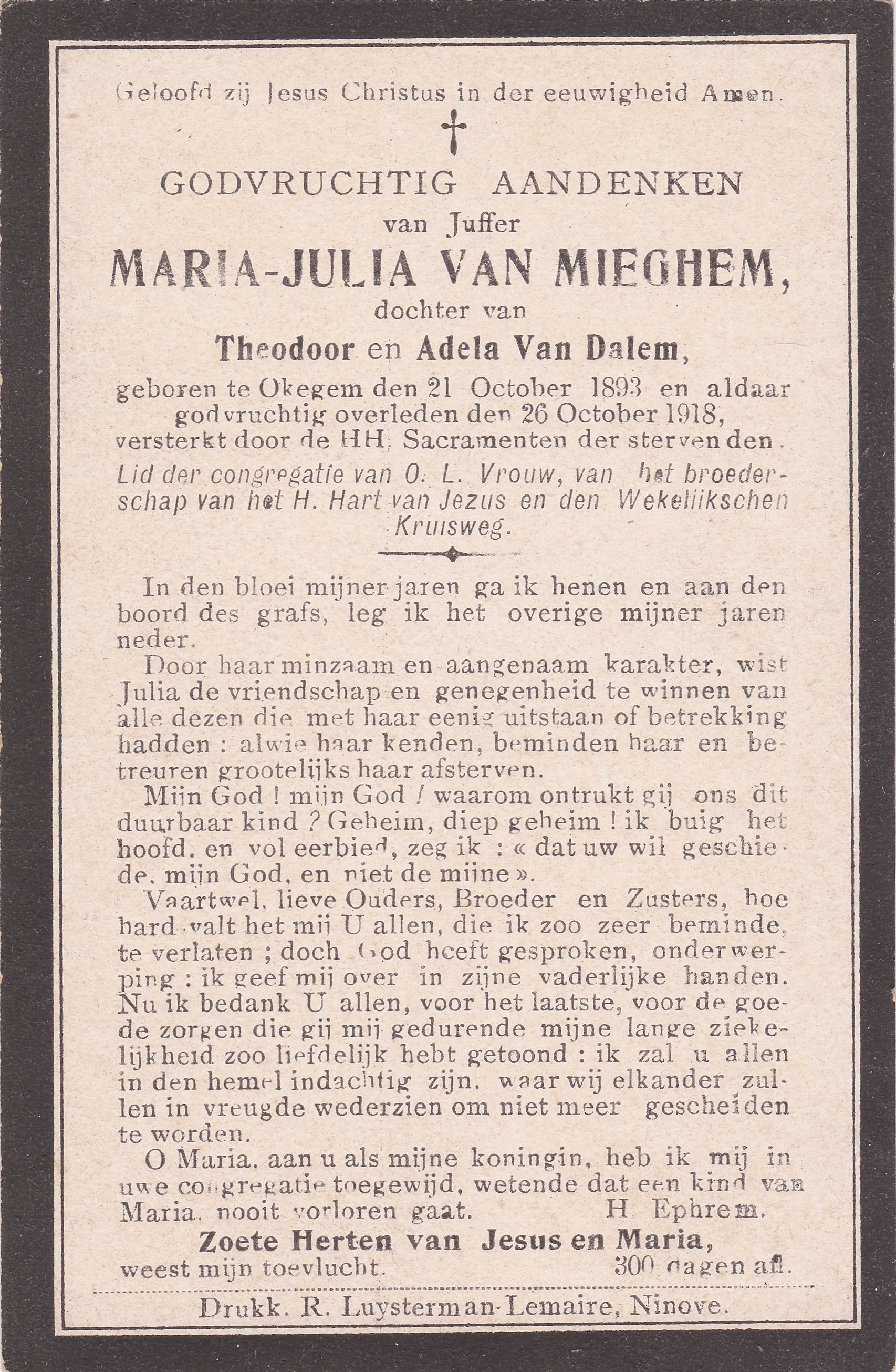 Van Mieghem Maria Julia