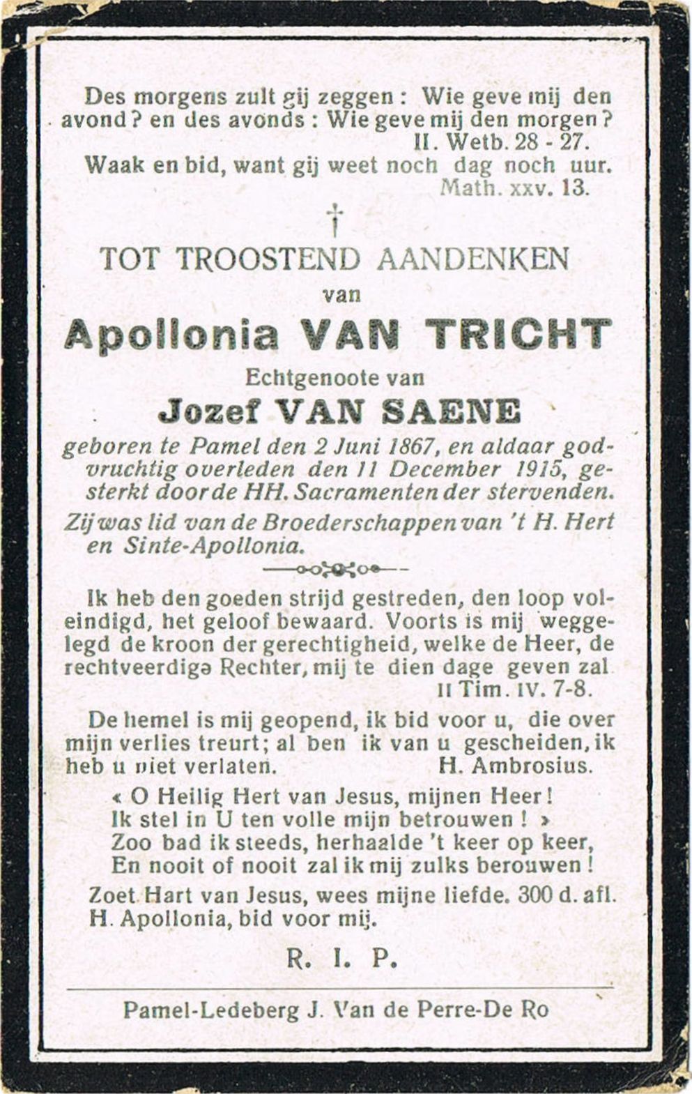 Van Tricht Apollonia