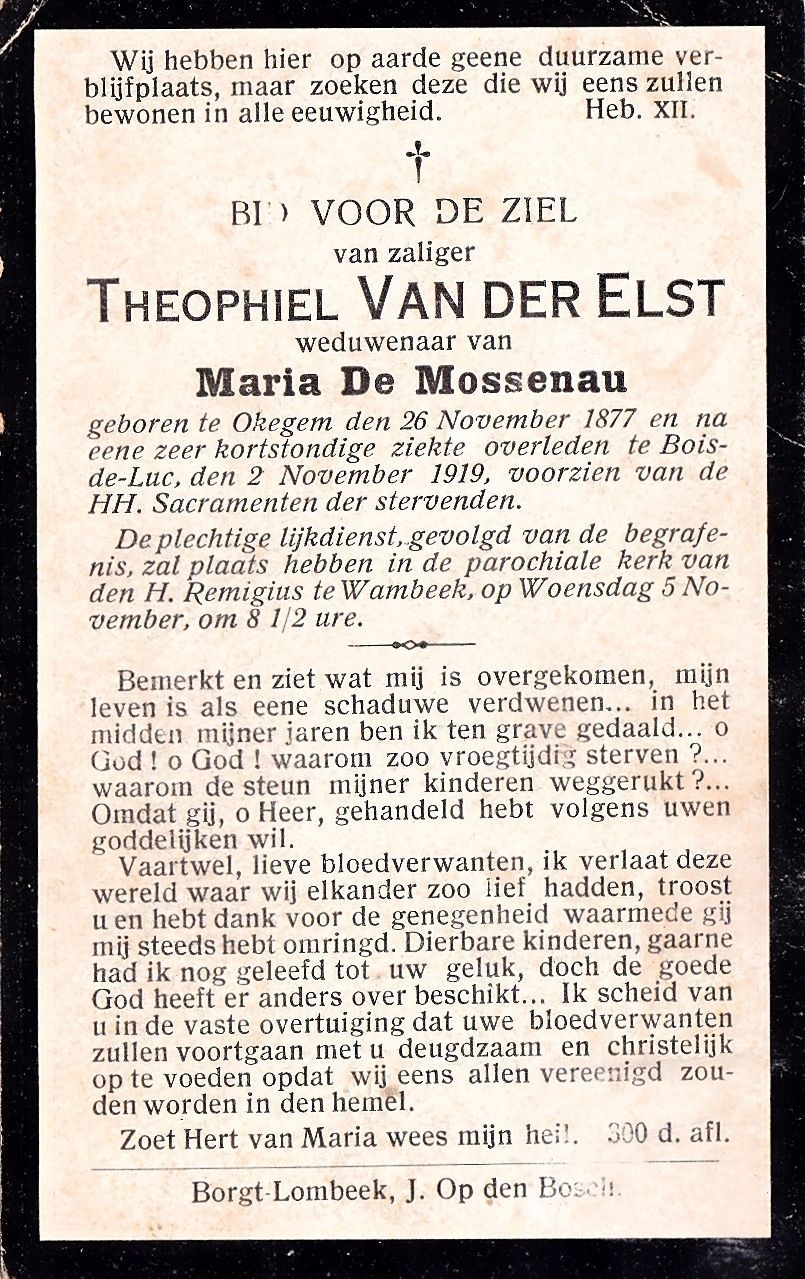 Van der Elst Theophiel