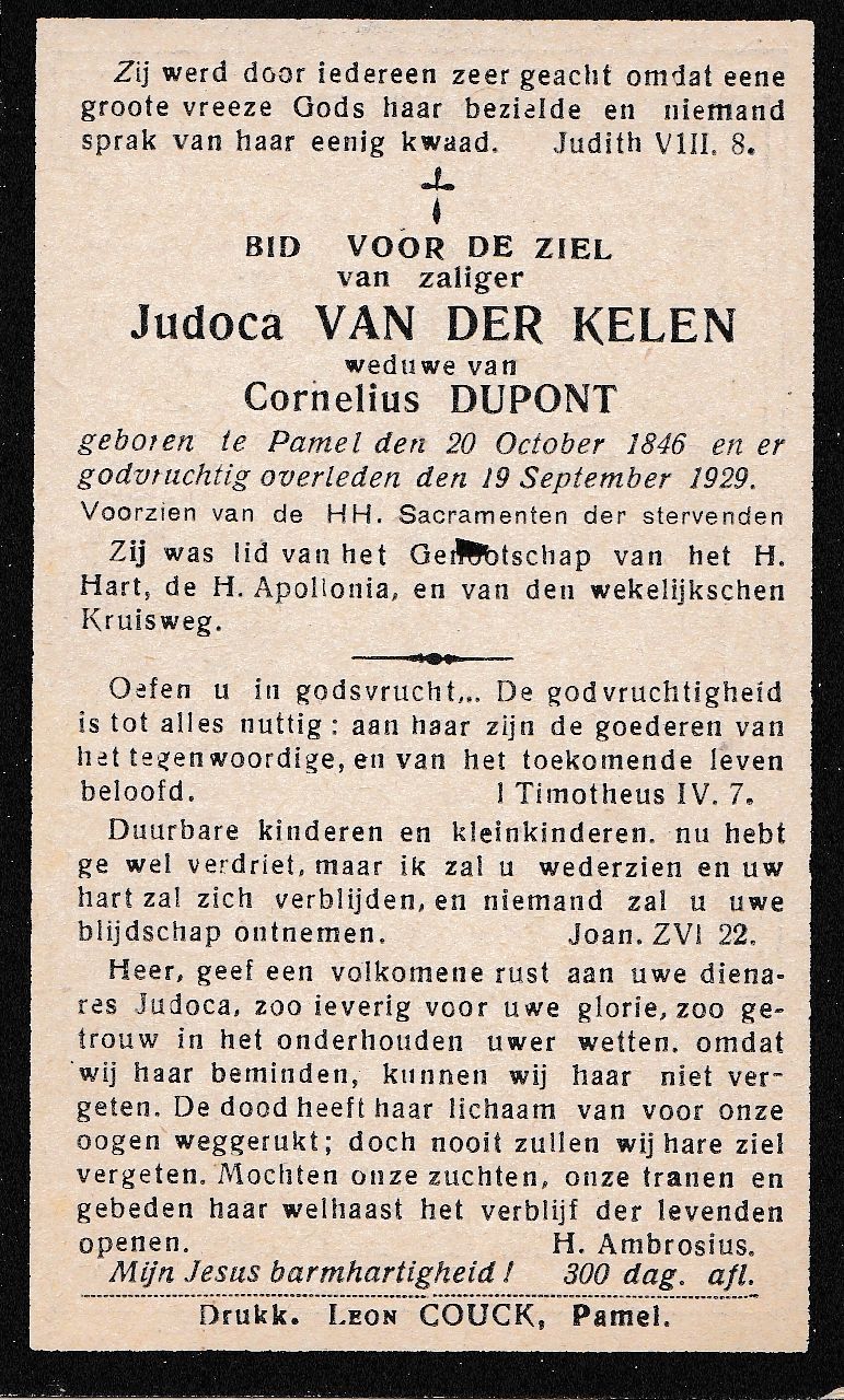 Van der Kelen Judoca