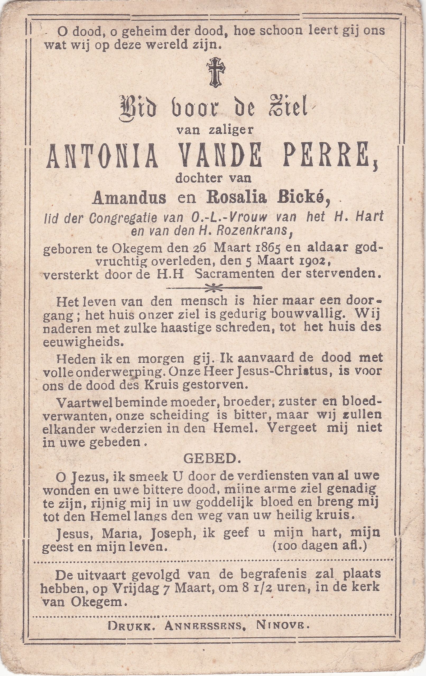 Vande Perre Antonia